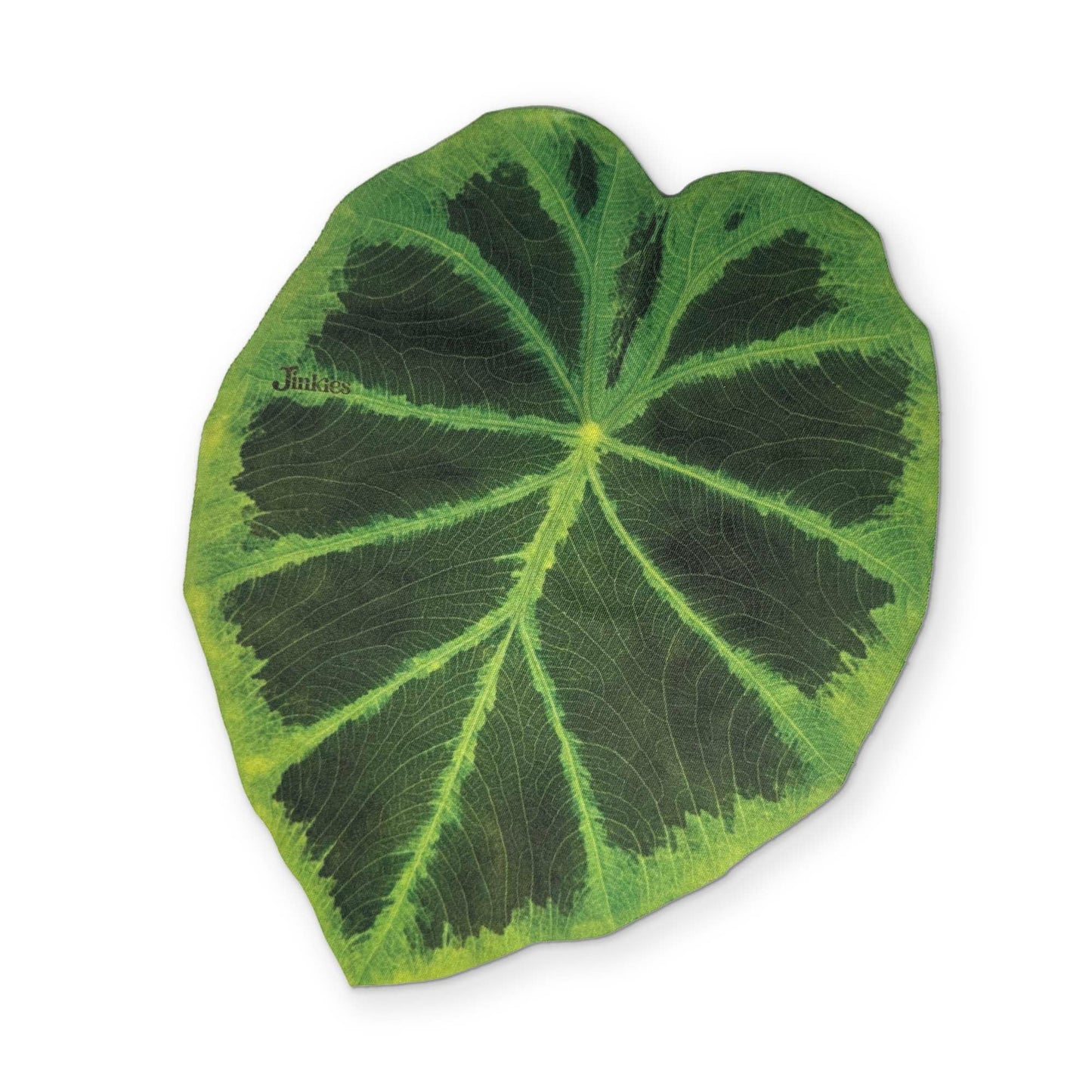 π A COLOCASIA LEAF YOU CAN CLEAN YOUR GLASSES WITH