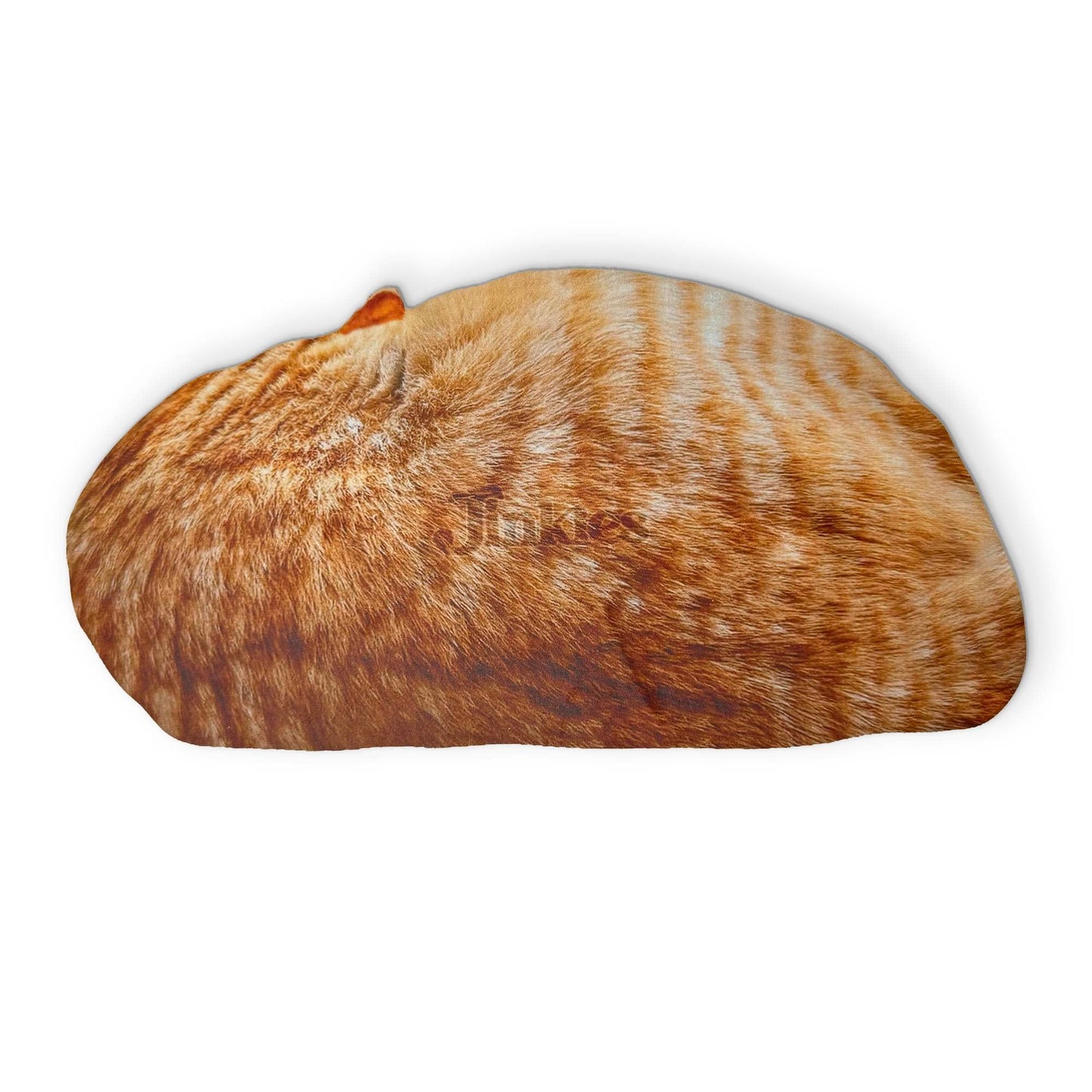 π A SLEEPING CAT YOU CAN CLEAN YOUR GLASSES WITH