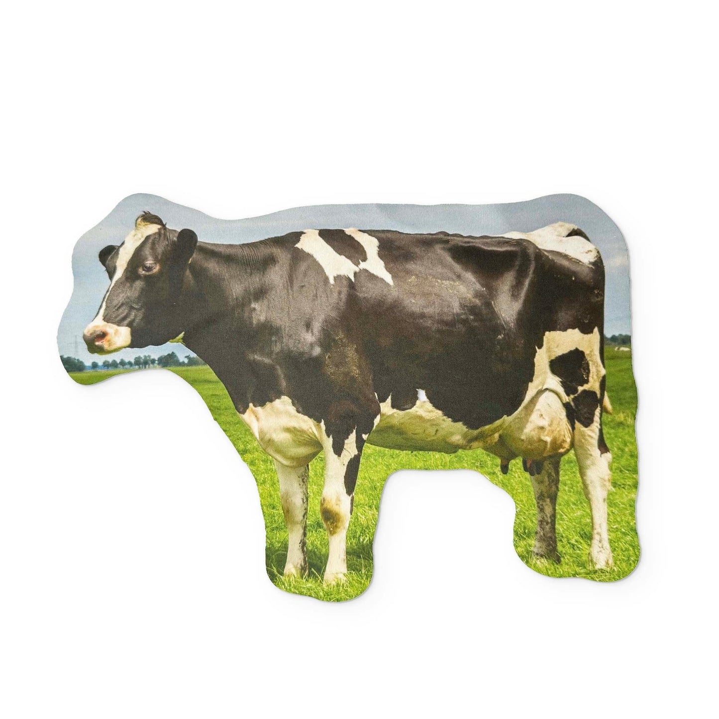 π A COW YOU CAN CLEAN YOUR GLASSES WITH