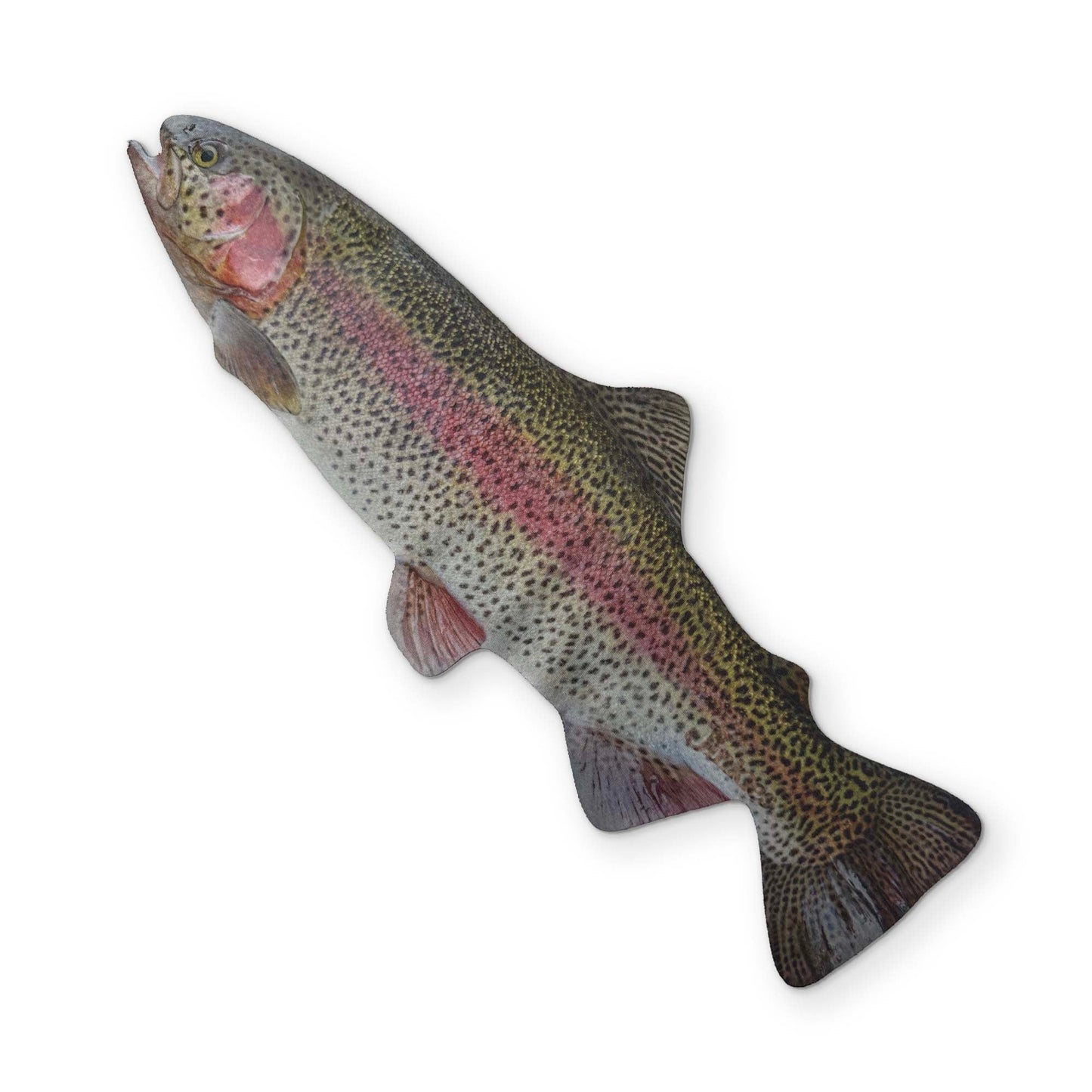 A RAINBOW TROUT YOU CAN CLEAN YOUR GLASSES WITH