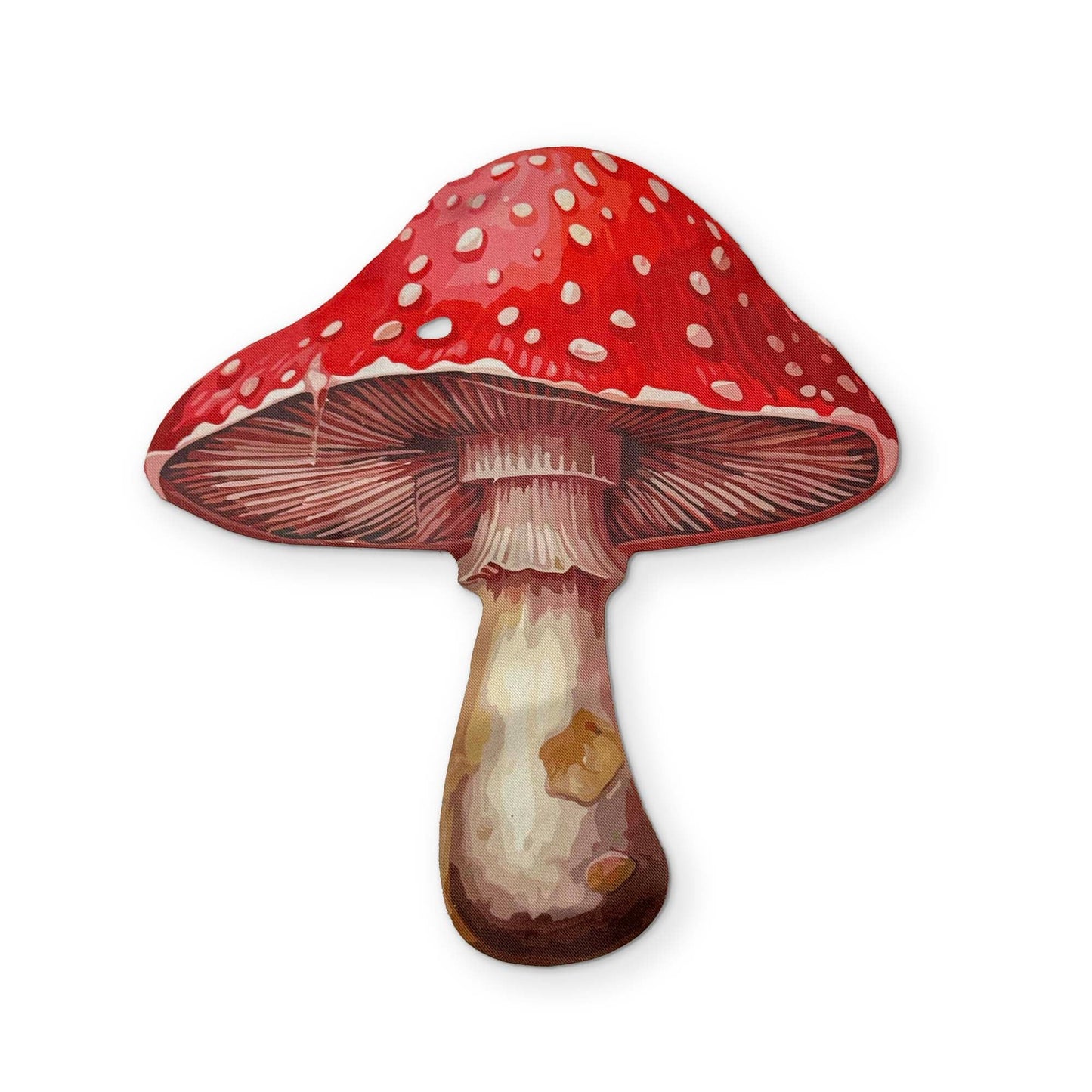 π A MUSHROOM YOU CAN CLEAN YOUR GLASSES WITH
