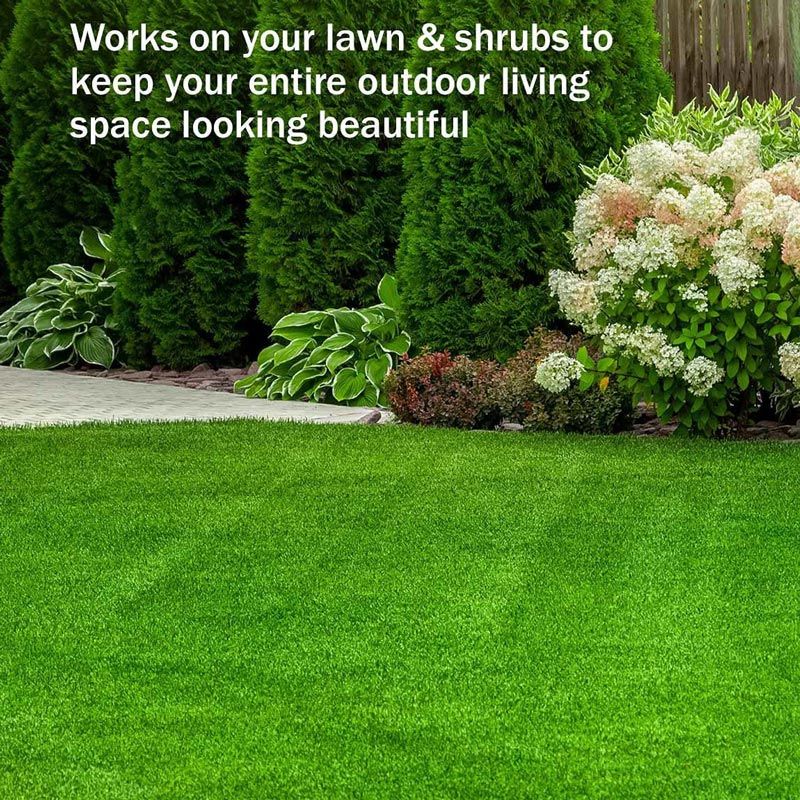 🔥Last Day Sale 49%🔥Green Grass Paint Spray🌿✅