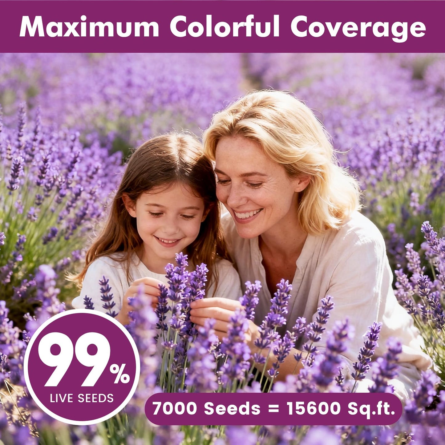 Grow Real Lavender From Seed 🌿