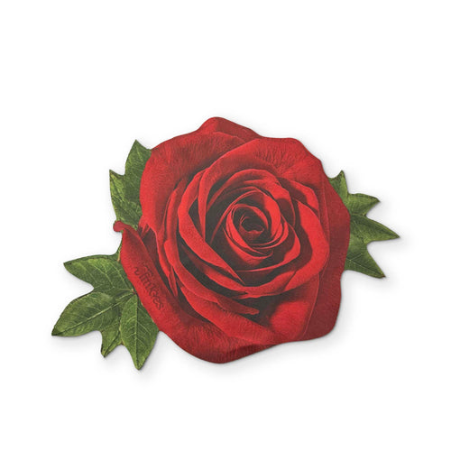 🌹 A ROSE YOU CAN CLEAN YOUR GLASSES WITH