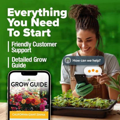 HOME GROWN Zinnia Seeds for 2026 - California Giant Mix - 7,300+ (2 oz) Plant Wildflower Blooms Bulk Seeds for Planting Flowers Outside