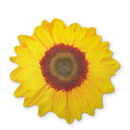 🌻 A SUNFLOWER YOU CAN CLEAN YOUR GLASSES WITH
