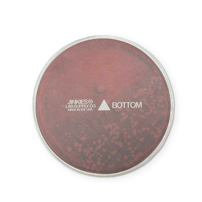 A PETRI DISH YOU CAN CLEAN YOUR GLASSES WITH