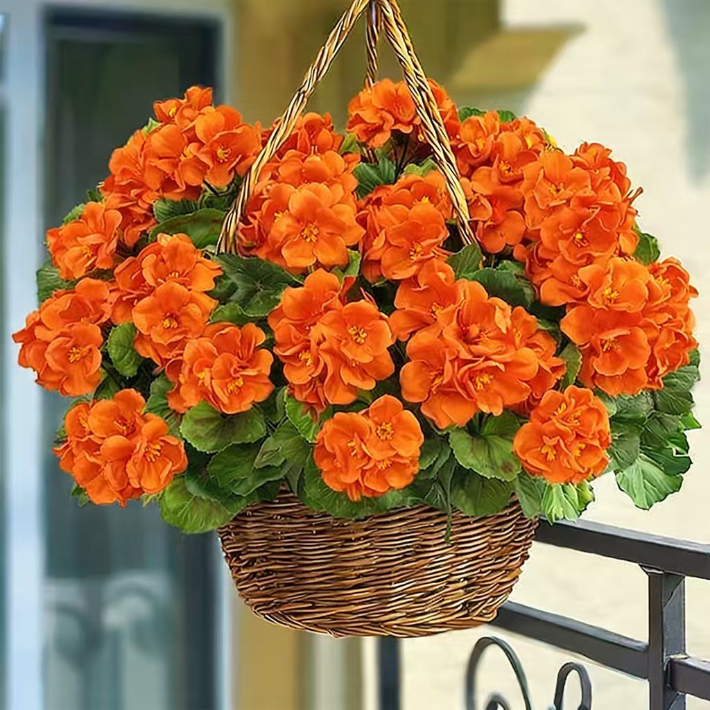 🔥Last Day 49% OFF--💐 UV Resistant Lifelike Artificial Geranium Flowers 💖