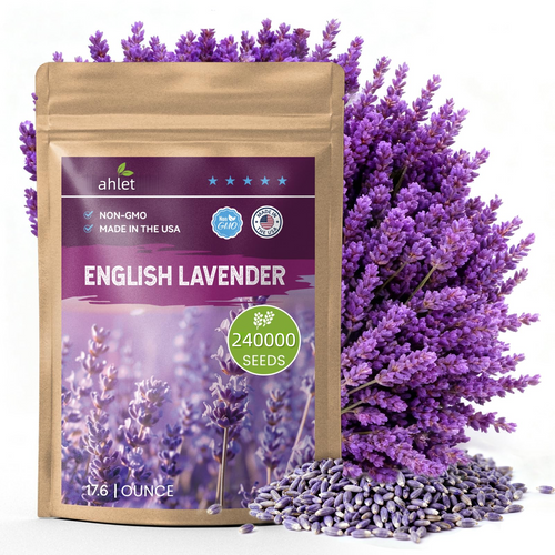 Grow Real Lavender From Seed 🌿