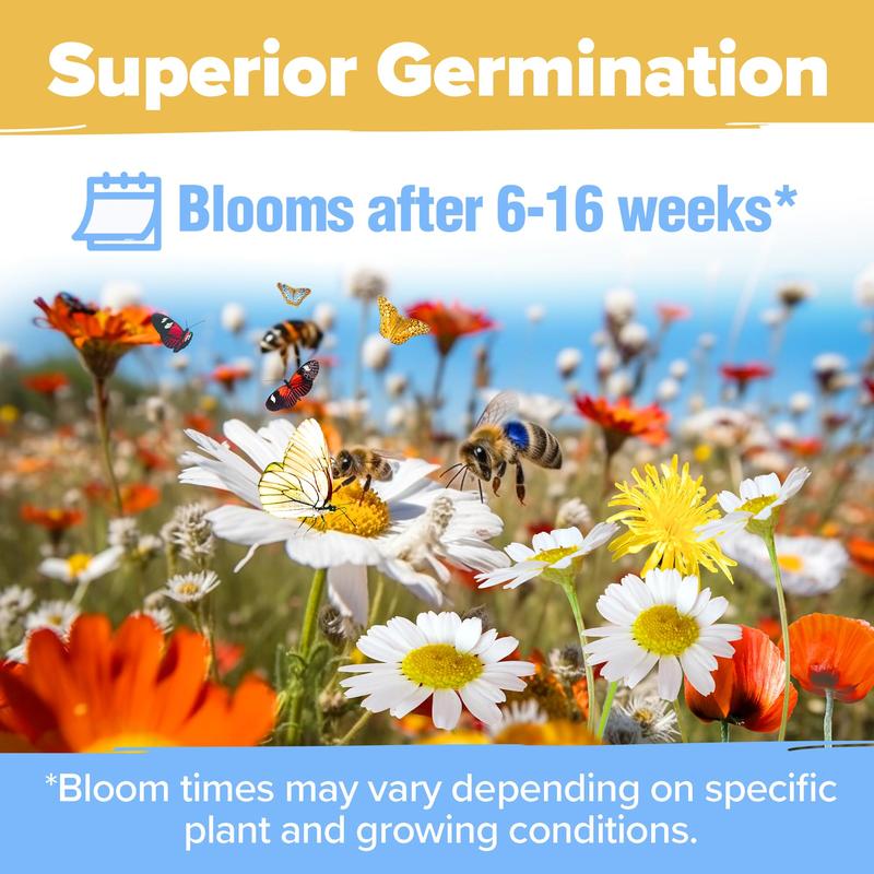 💐Spring Hot Sale 49% OFF💐Wildflower Seeds 90,000+ Bulk Seeds Mix 3oz