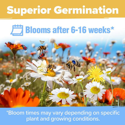 💐Spring Hot Sale 49% OFF💐Wildflower Seeds 90,000+ Bulk Seeds Mix 3oz