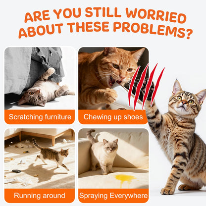 Stop Your Cat From Ruining Your Home – Safely & Stress-Free!