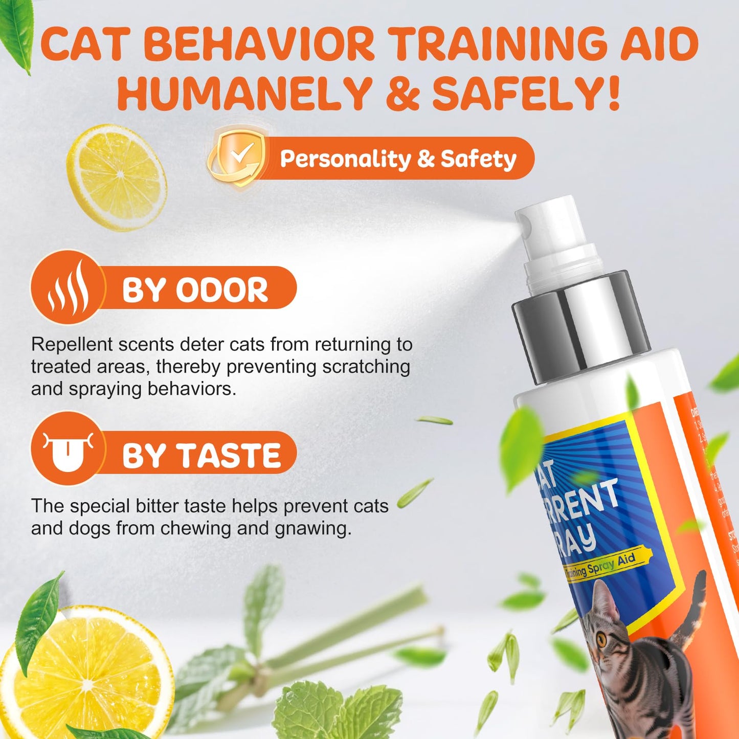 Stop Your Cat From Ruining Your Home – Safely & Stress-Free!