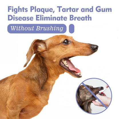 [⏰ Buy 1 Get 1 Free]Pet Tooth Cleaning Spray