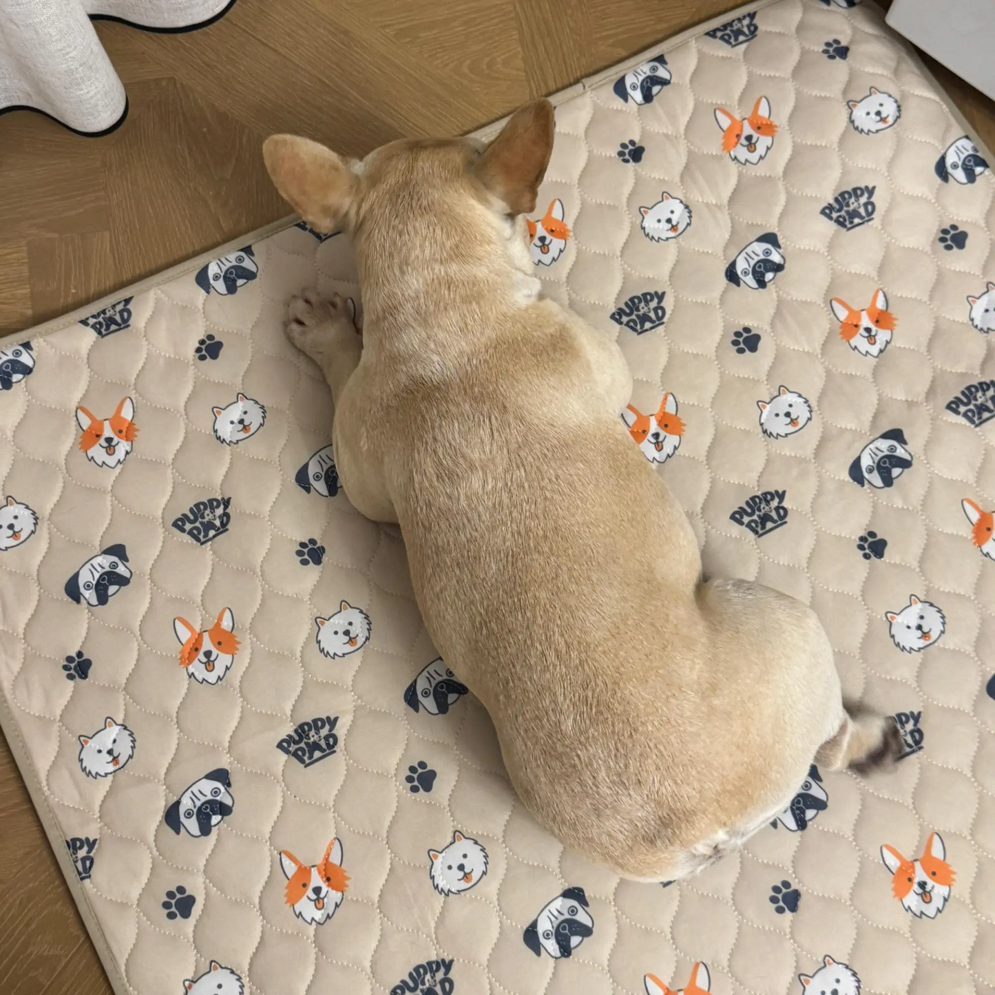 🐶The Pinnacle of Pet Pee Pads! - The Last Pee Pad You'll Get