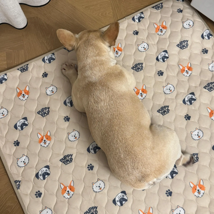 🐶The Pinnacle of Pet Pee Pads! - The Last Pee Pad You'll Get