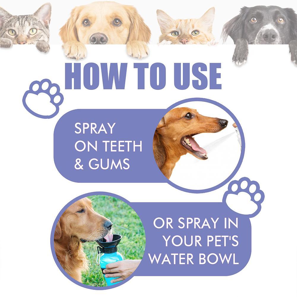 [⏰ Buy 1 Get 1 Free]Pet Tooth Cleaning Spray