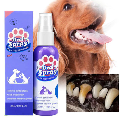 [⏰ Buy 1 Get 1 Free]Pet Tooth Cleaning Spray