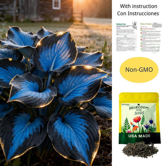 💥2026 Hot Sale 🌌Hosta Seeds Perennial Shade Plant for Garden