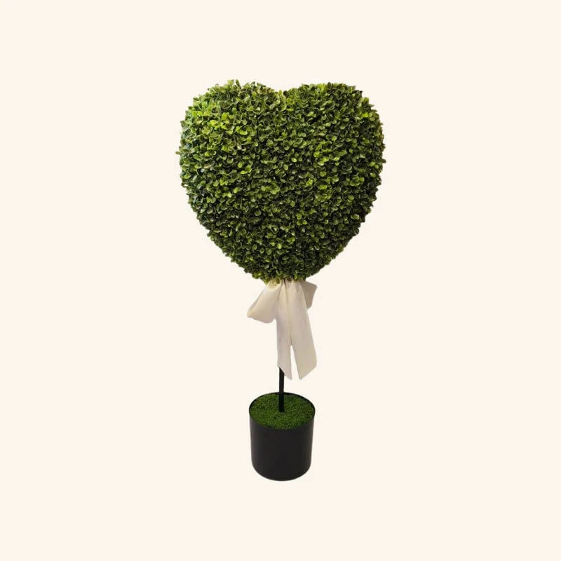 Valentine's Day Decorative Plants