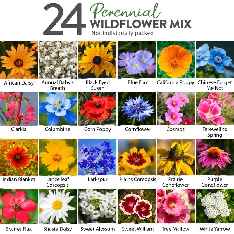 💐Spring Hot Sale 49% OFF💐Wildflower Seeds 90,000+ Bulk Seeds Mix 3oz