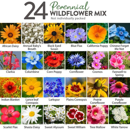💐Spring Hot Sale 49% OFF💐Wildflower Seeds 90,000+ Bulk Seeds Mix 3oz