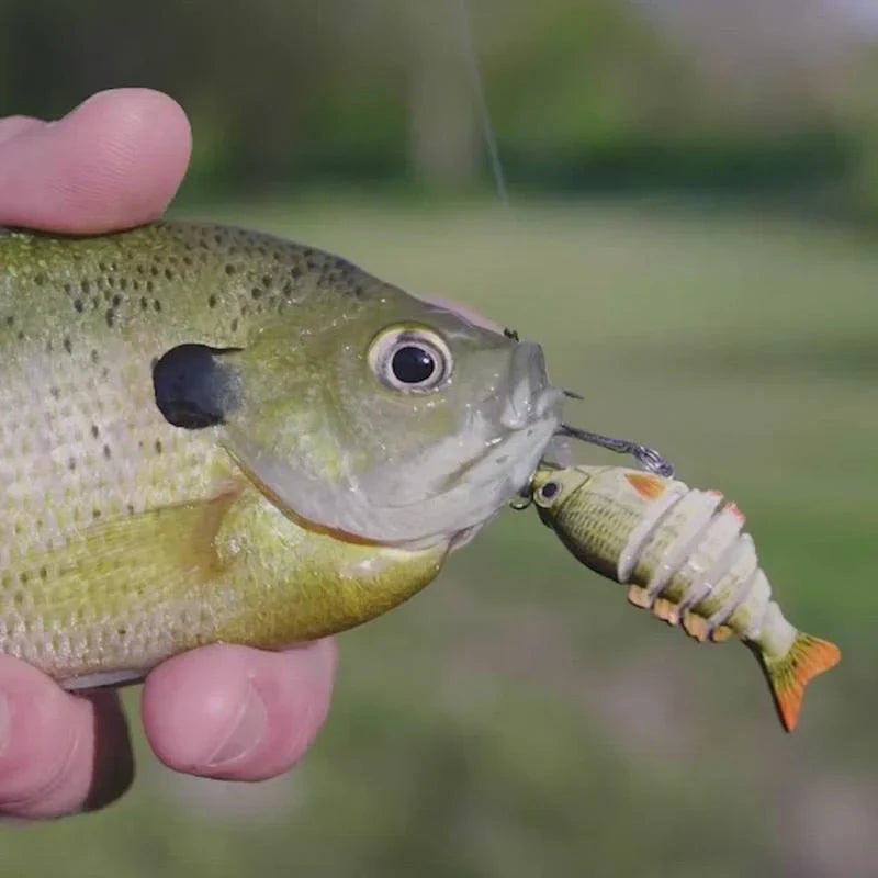 🐟Lifelike Fishing Lures for Freshwater and Saltwate