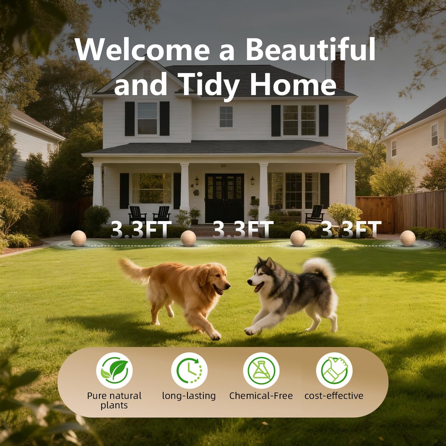 Keep Mice & Rodents Out – Naturally! 🐭✨