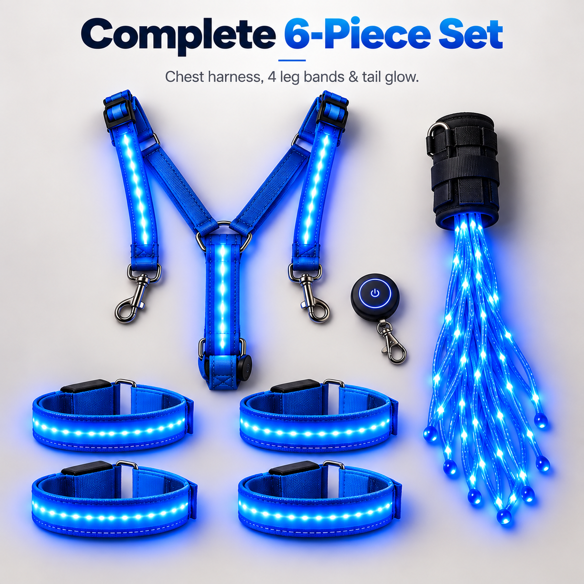 Light Up Every RideLED Horse Riding Visibility Light Set