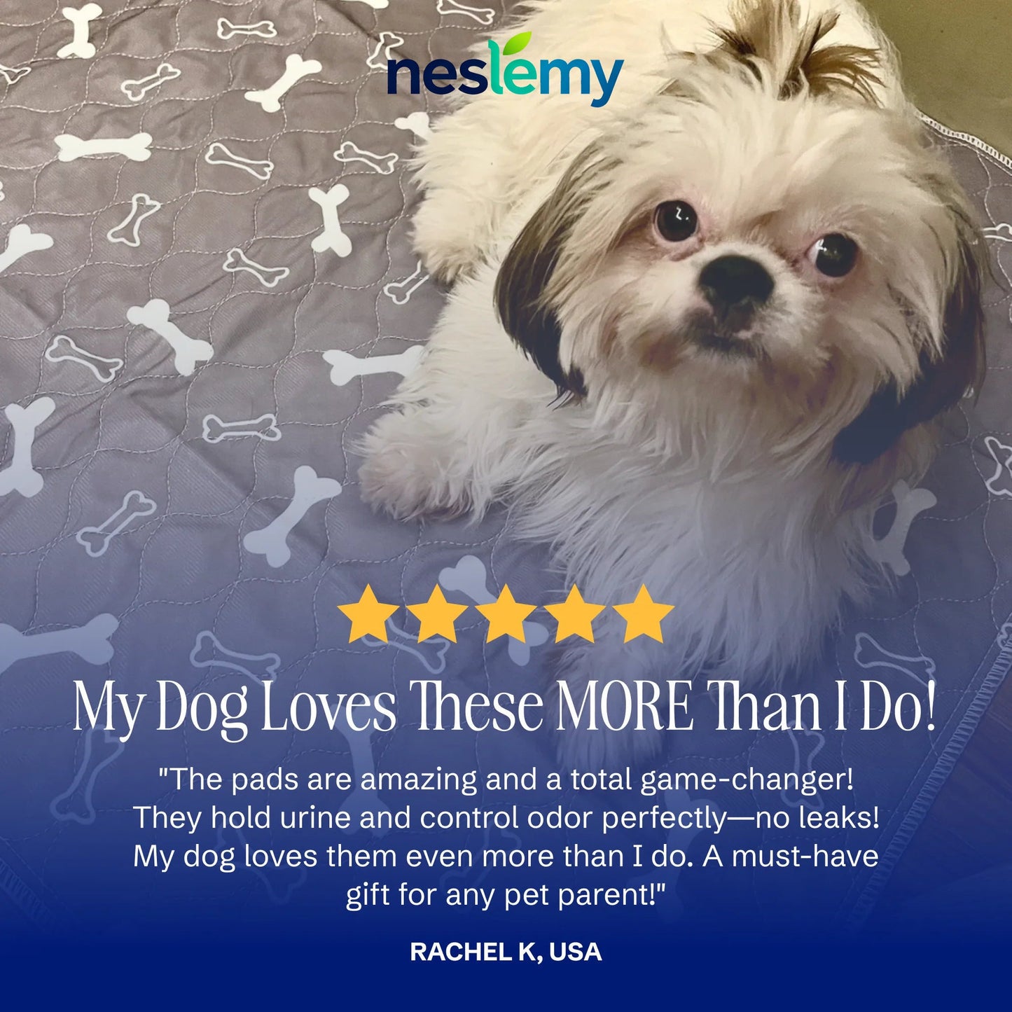 🐶The Pinnacle of Pet Pee Pads! - The Last Pee Pad You'll Get