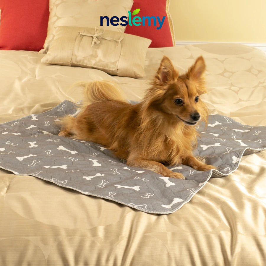 🐶The Pinnacle of Pet Pee Pads! - The Last Pee Pad You'll Get