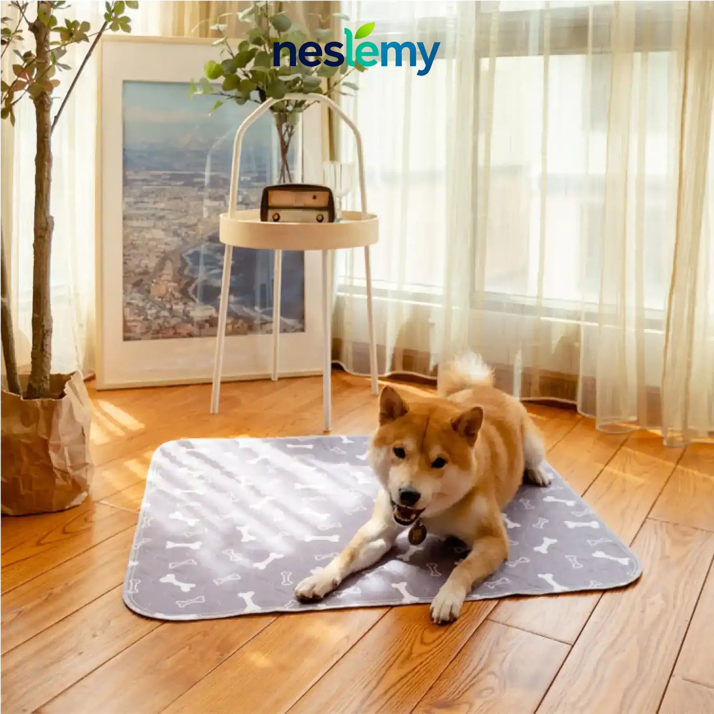 🐶The Pinnacle of Pet Pee Pads! - The Last Pee Pad You'll Get