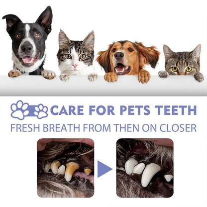 [⏰ Buy 1 Get 1 Free]Pet Tooth Cleaning Spray