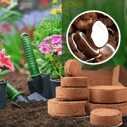 🔥 LAST DAY 49% OFF 🌱 Premium Organic Coconut Coir Bricks For Plants🥥