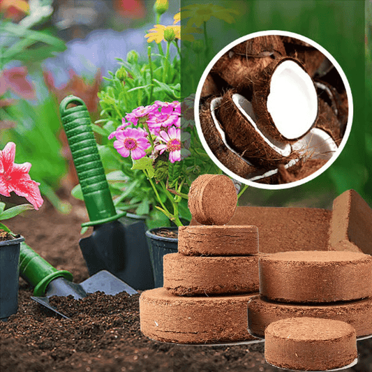 🔥 LAST DAY 49% OFF 🌱 Premium Organic Coconut Coir Bricks For Plants🥥