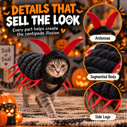 Halloween Cat And Centipede Costume