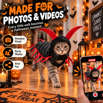 Halloween Cat And Centipede Costume