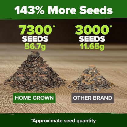 HOME GROWN Zinnia Seeds for 2026 - California Giant Mix - 7,300+ (2 oz) Plant Wildflower Blooms Bulk Seeds for Planting Flowers Outside