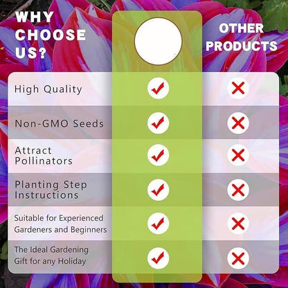 🎁🍃 Rare Coleus Flower Seeds🌿