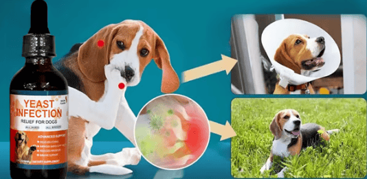 Puppy Yeast Relief Agent