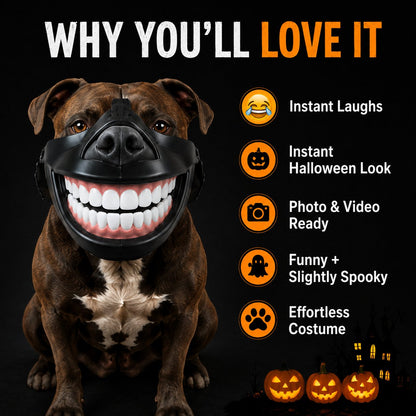 ⏳ Last day 50% OFF –🐶Giant Grin Halloween Dog Mask
