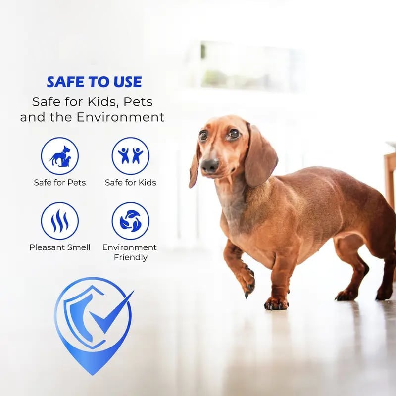 (🎁Last Day 49% OFF)✨🧴 Clean-llx Floor Restorer – Shine & Protect Instantly 🏠