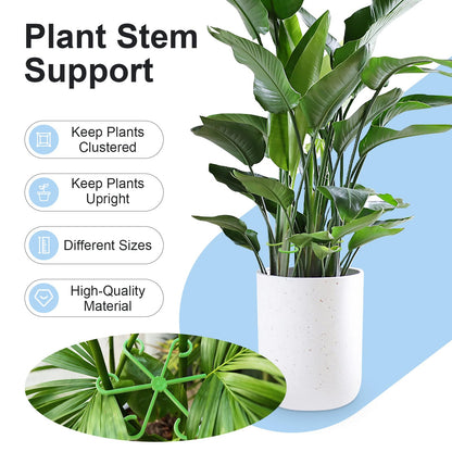 🌿 20-Piece Adjustable Plant Stem Support Set