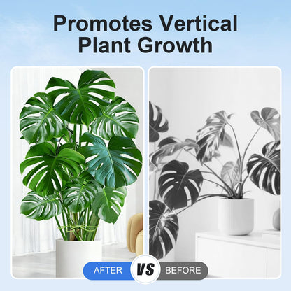 🌿 20-Piece Adjustable Plant Stem Support Set