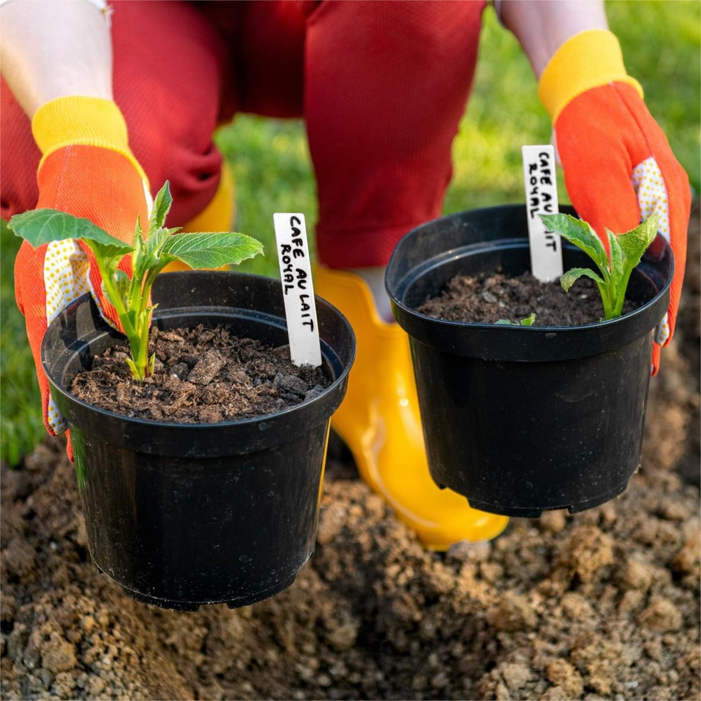 🌱 Keep Your Garden Organized & Thriving!