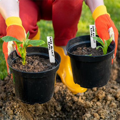 🌱 Keep Your Garden Organized & Thriving!