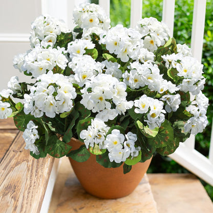 Artificial Fake Petunia Flowers for Outdoor Decoration（2PCS）