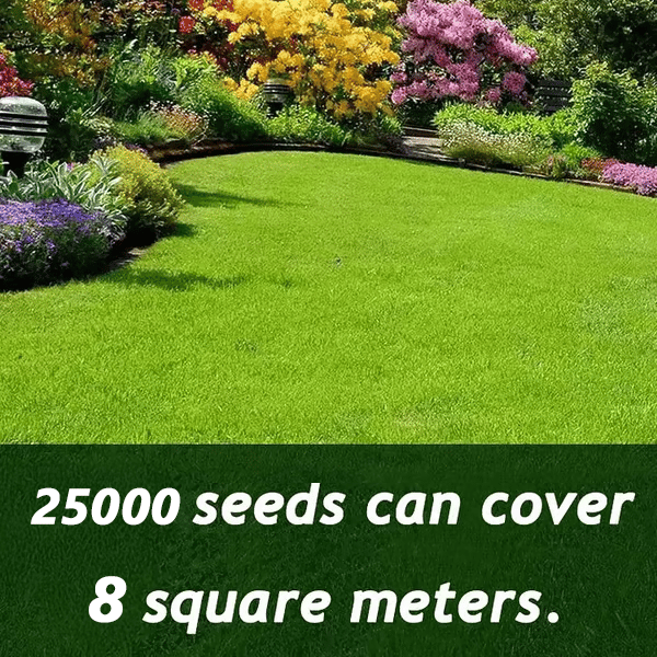 🔥⏰Last Day Promotion - 🌱 Evergreen dwarf grass seed for four seasons🌾 | Create your perfect lawn here🌼