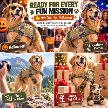 🔥 Limited-Time 50% OFF✨Pet Tactical Soldier Uniform