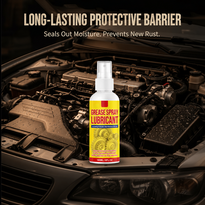 Anti-Rust Lubricant Spray & Rust Remover